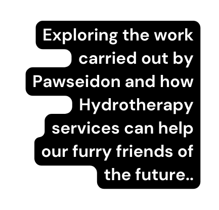 Exploring the work carried out by Pawseidon and how Hydrotherapy services can help our furry friends of the future